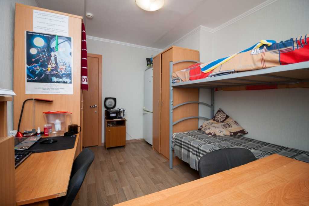 Общежитие университета мчс в санкт петербурге фото