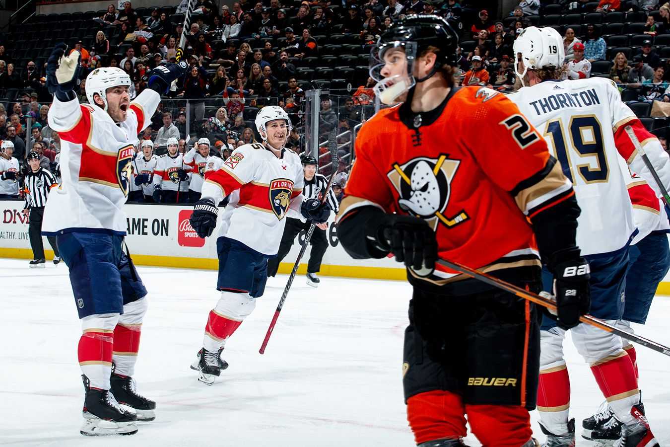 10 советов для новичков в nhl 22, которые вы должны знать - guideer.ru