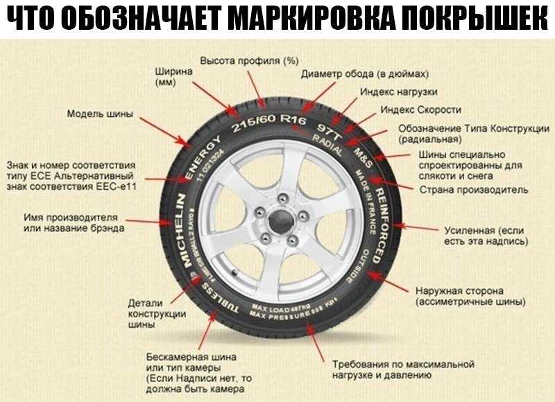 Топ-10 лучших производителей литых дисков в 2022 в рейтинге biokot