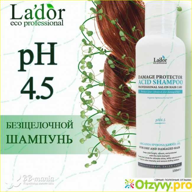 Какой выбрать шампунь для волос: рейтинг лучших шампуней