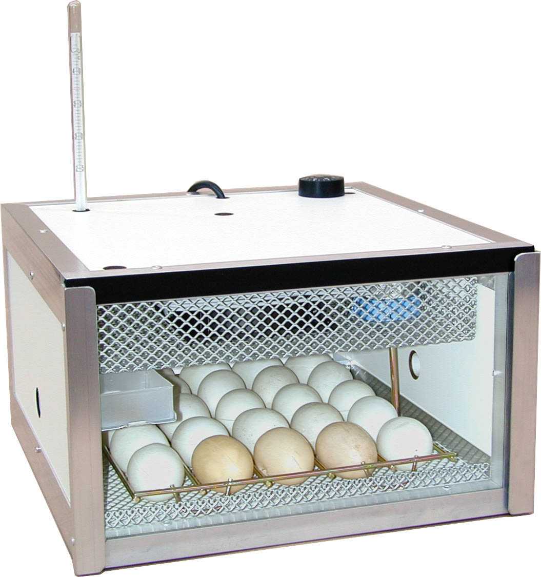 Инкубатор для яиц производитель. Инкубатор Borotto. Инкубатор транспортный Atom v-808. Инкубатор FLORAFLEX incubator Kit. Инкубатор FHQ-MN-24/56.