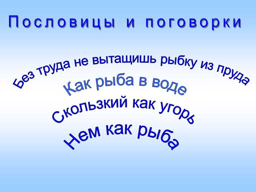 Пословица труда рыбку. Пословица про рыбку. Пословицы про рыбу. Морские поговорки. Пословицы про рыб для детей.