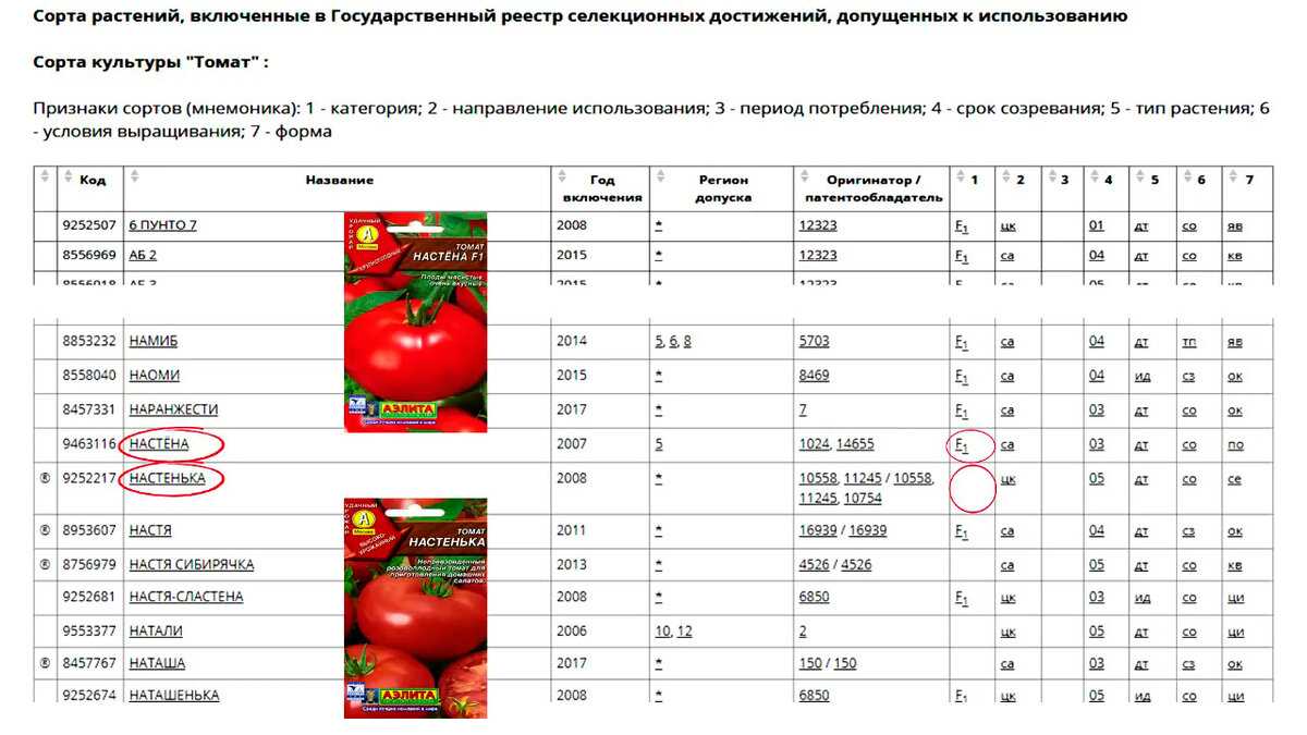 Лучшие сорта помидор на 2021 год: самые урожайные, вкусные, для открытого грунта и теплиц