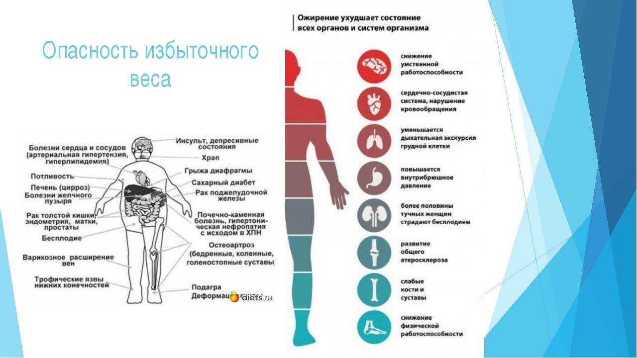 Лечение ожирения под контролем врача эндокринолога-диетолога в клинике виталис