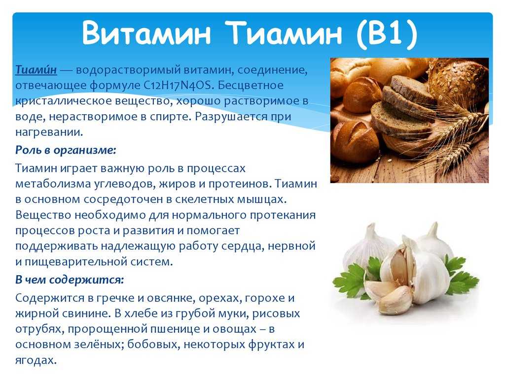 Какое детское питание лучше: рейтинг производителей для грудничков, новорожденных по отзывам, самые хорошие баночки для прикорма — товарика