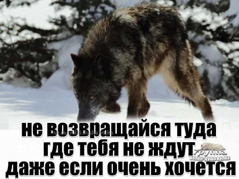 Лучшие боксеры мира всех времен