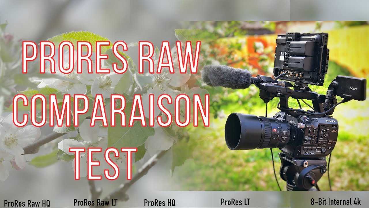 Prores что это. PRORES 422. Кодек PRORES. Прорес, рав, log. Raw конвертер.