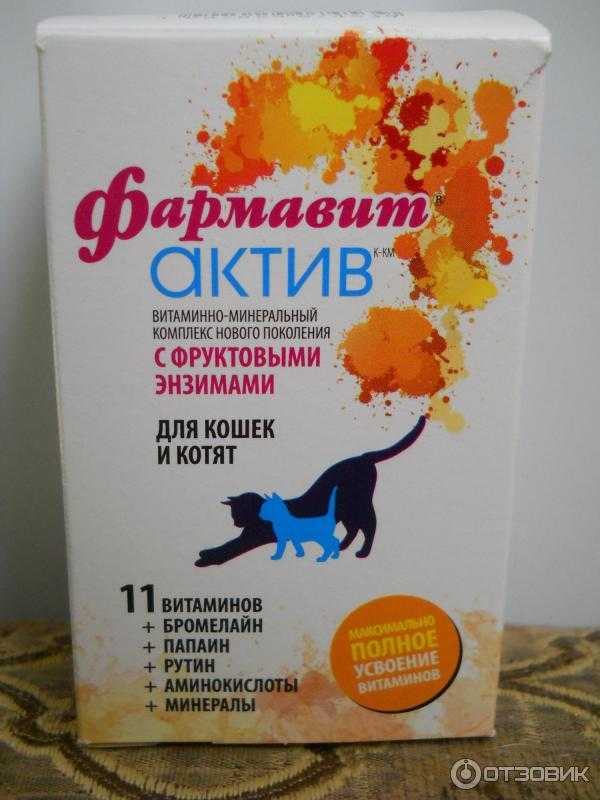 Рейтинг витаминов для кошек: 12 лучших производителей