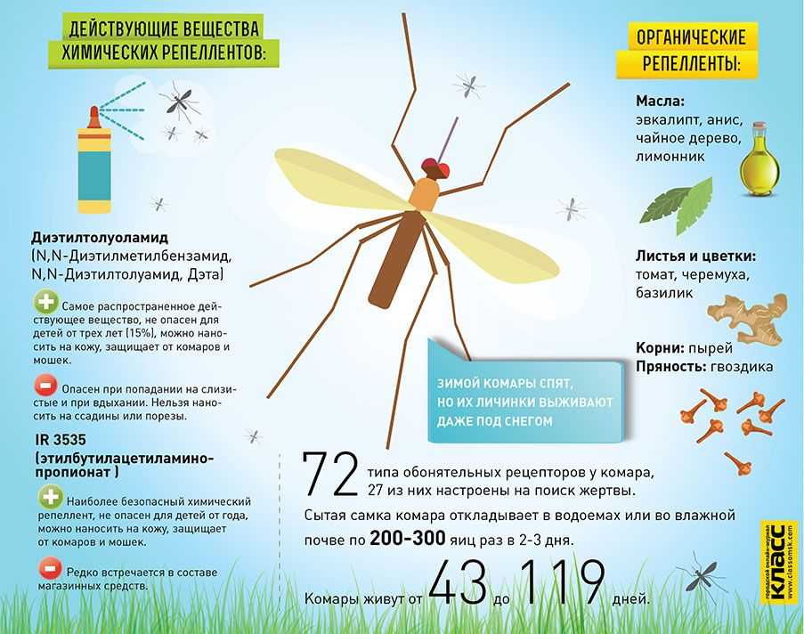 Комар какая среда. Комары инфографика. Памятка комары. Комары опасные для человека. Лето комары.