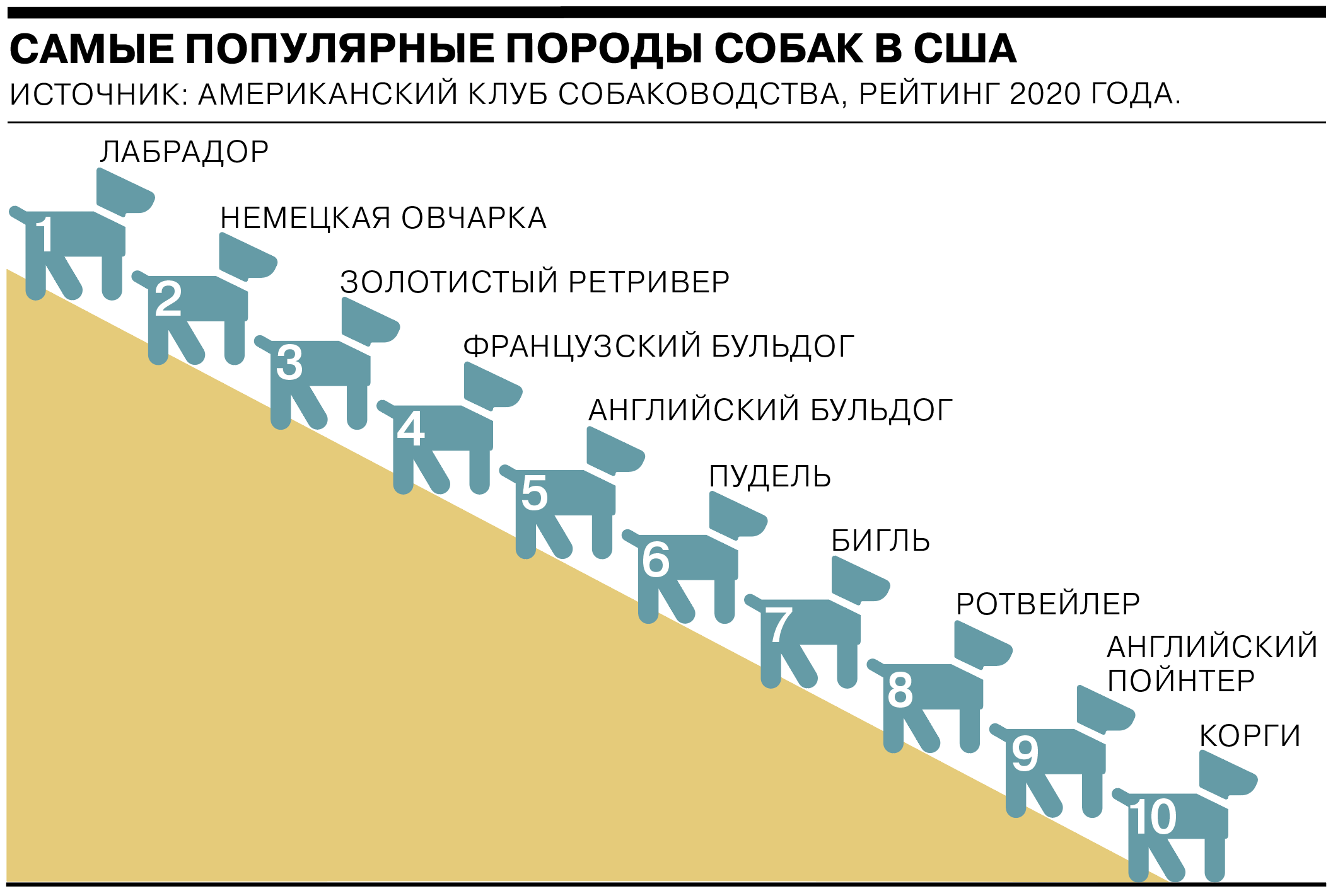 Положение ркф о выставках